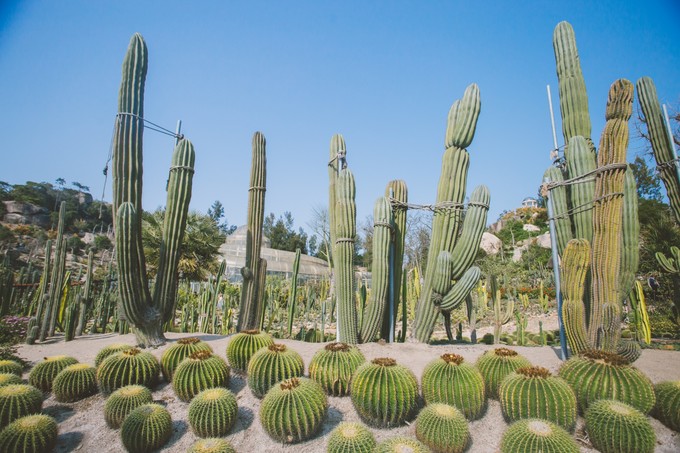 厦门吃喝玩乐一日攻略,厦门吃喝玩乐超全攻略