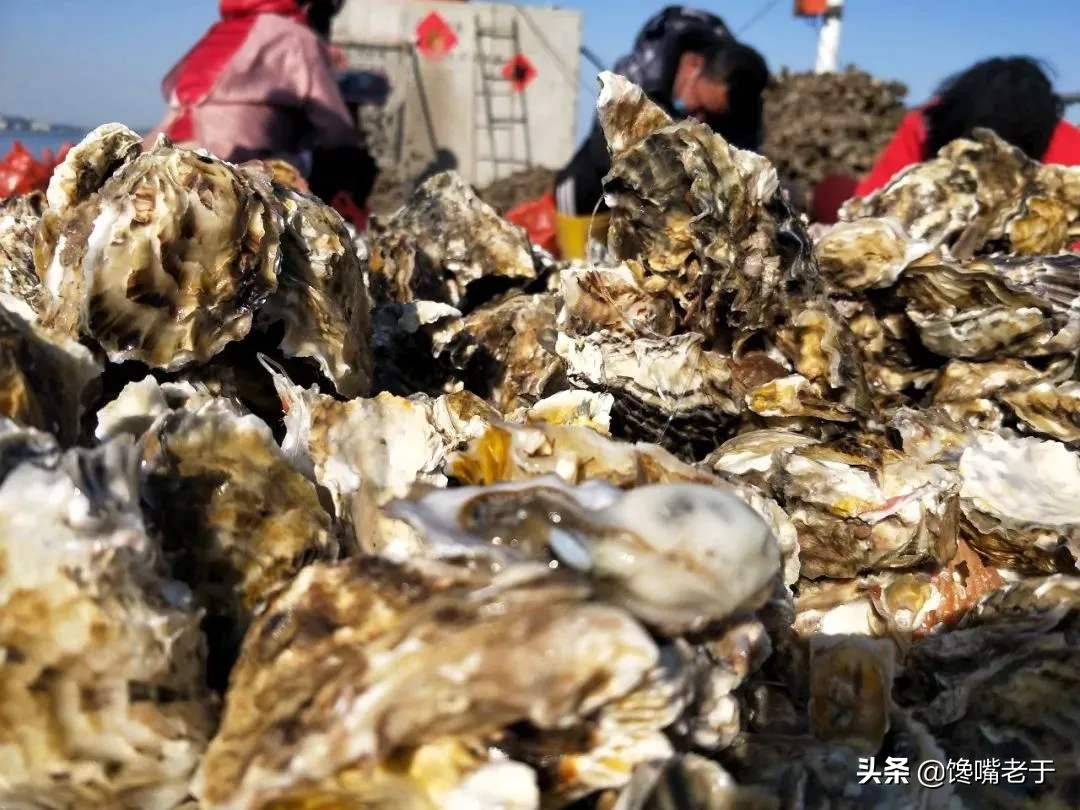 十月吃什么海鲜,六七月海鲜什么最好吃