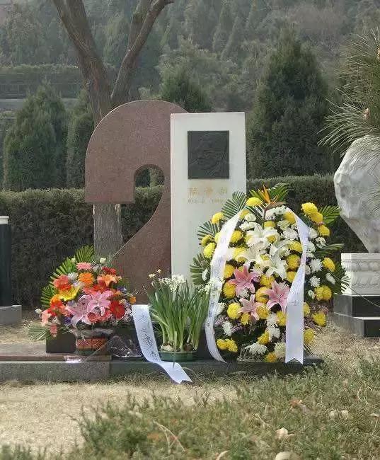 17岁考入厦大，用尽半生心血完成1+2难题，一个数学怪人的故事