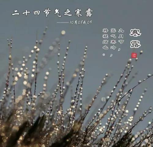 秋风萧瑟天气凉,寒露秋风落叶