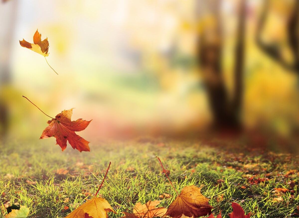 叮咚，丁神树洞开张了～我有酒，你有故事吗？