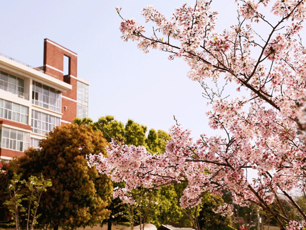 武汉外语外事职业学院毕业,外语外贸职业学院大一学妹