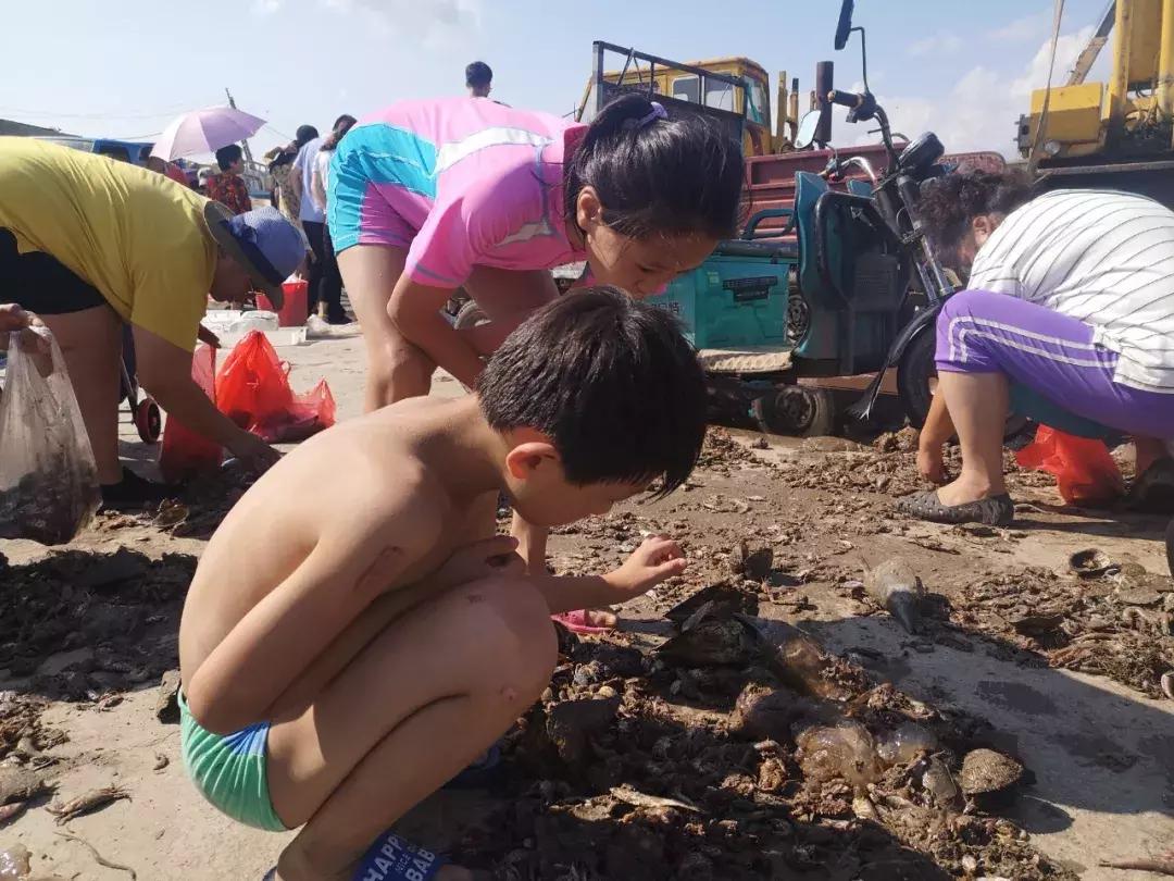 青岛开海了新鲜肥美的海鲜已上市,青岛开海红岛海鲜八大关