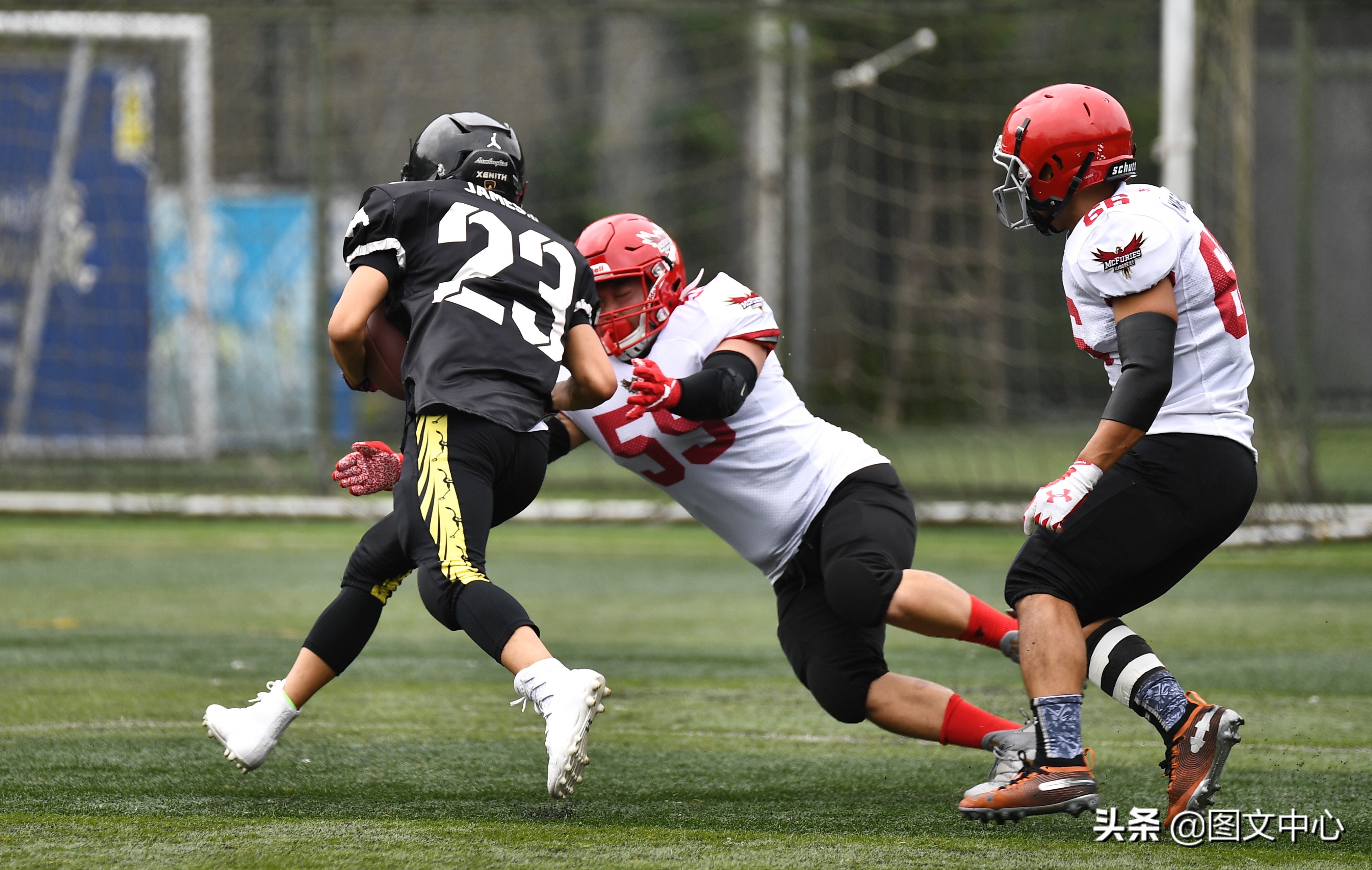 cnfl中国橄榄球联赛官网,cnfl橄榄球队伍