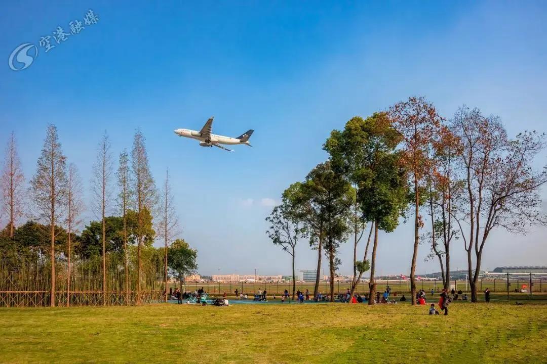 动次打次、动次打次……动动动动动动起来