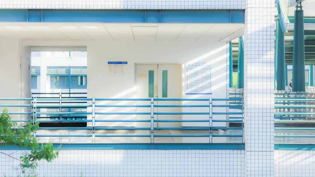 复旦大学ppt模板下载,浙江大学极简ppt模板