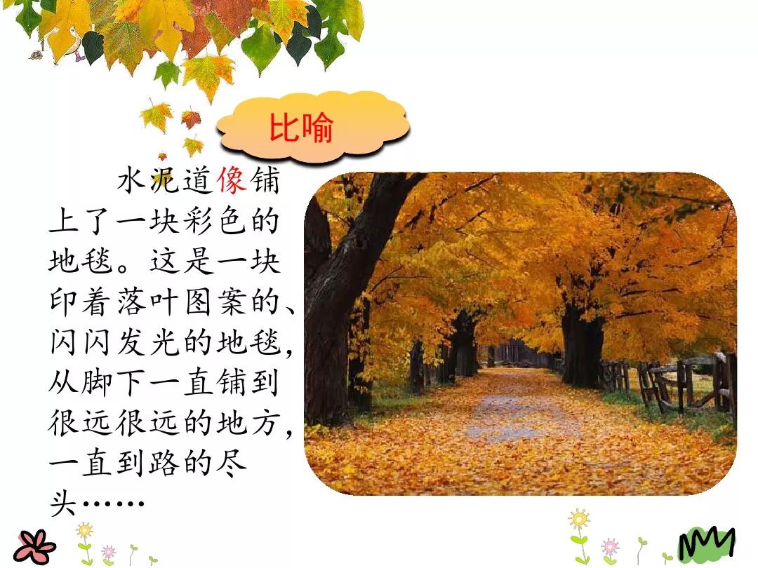 小学部编版三年级上册语文5课,三年级上册语文第5课水泥道朗读