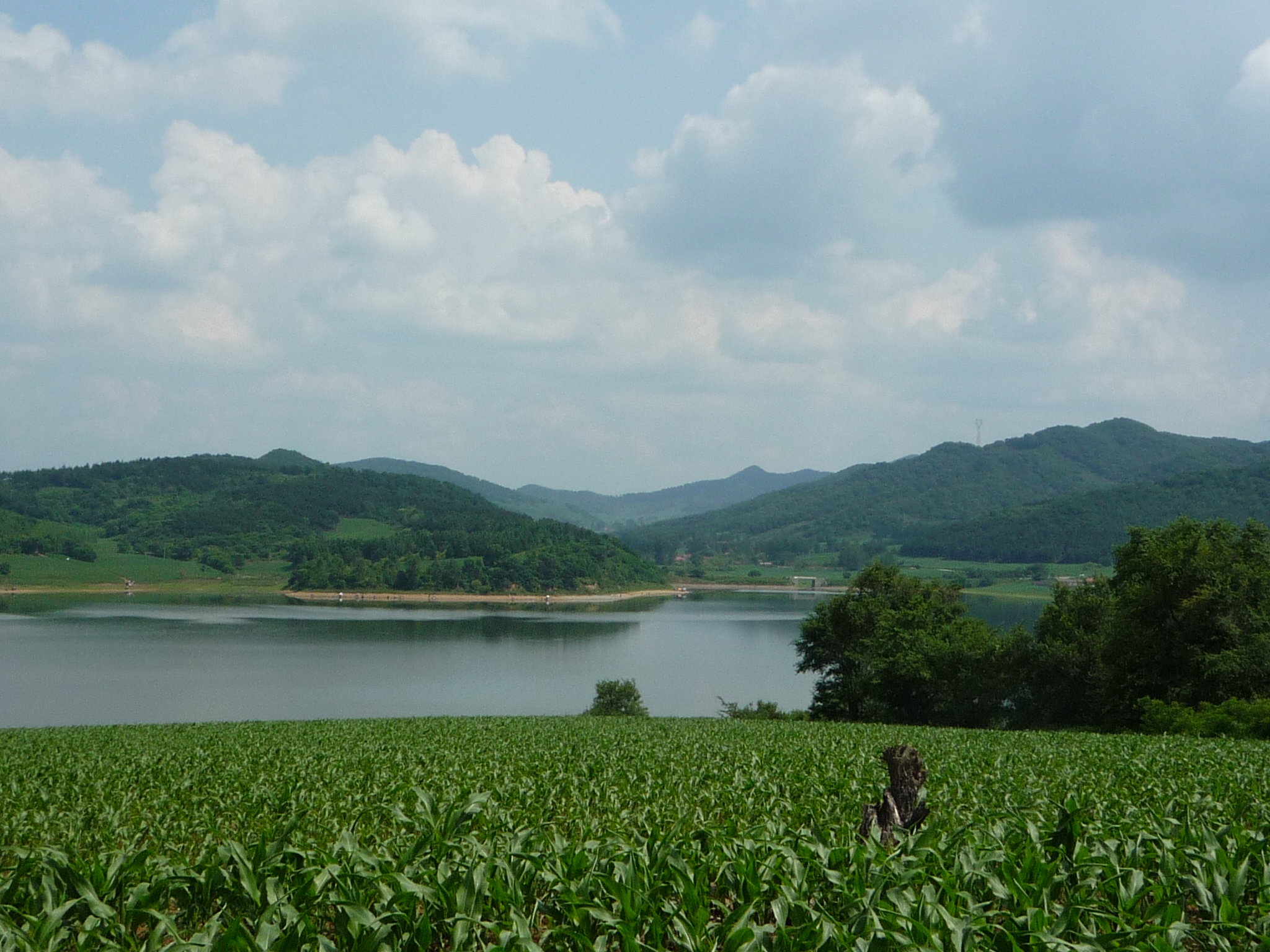 野钓钓饵最佳状态,野钓必备状态饵