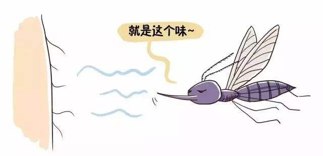 o型血招蚊子还是a型血招蚊子,o型血怕蚊子还有哪些血型怕蚊子