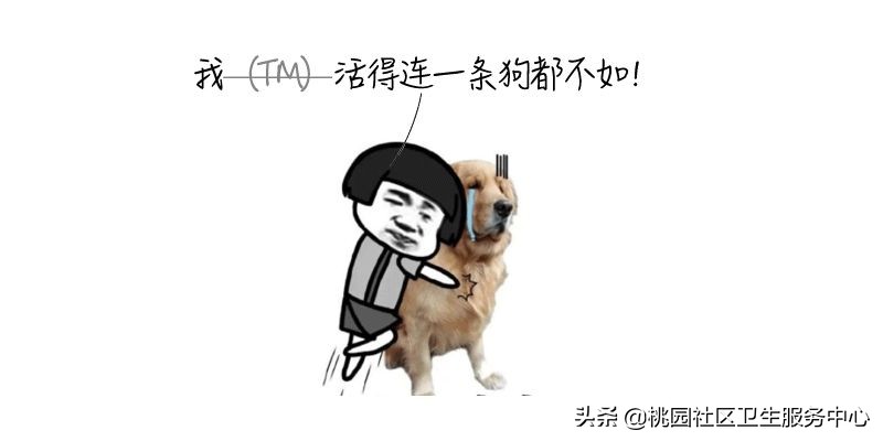 如被猫狗咬伤或抓伤应如何处理,被猫狗咬伤在多少小时之内打疫苗