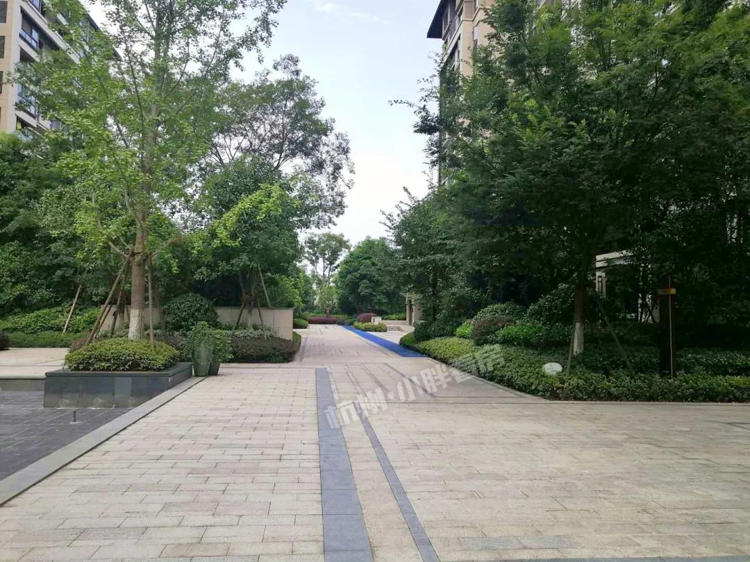 越卖越疯狂！万科星空凭什么代表未来科技城站上5万+