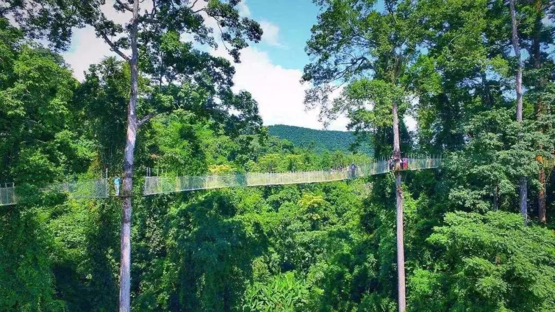西双版纳最值得一去的景点大排名,西双版纳适合6-12岁儿童的景点