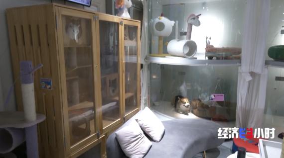 民生满意度调查问卷模板,民生实事调研问卷